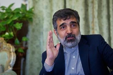 تخصص هسته‌ای کشورمان، پیوندی عمیق با مساله ایمنی و امنیت ایجاد کرده است