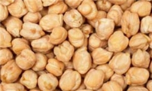 کشف بیش از 2تن نخود قاچاق در ایرانشهر
