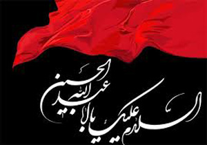 مروری بر دلایل و علل قیام اباعبدالله الحسین(ع)