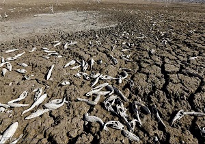تالاب&zwnj;های ایران در حال محو شدن؛ &laquo;آب&zwnj;ها&raquo; آب می&zwnj;روند