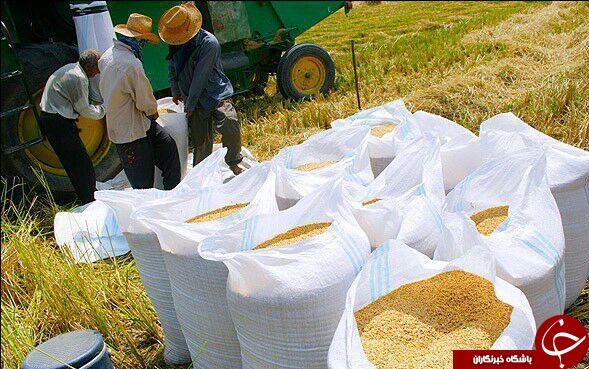 نگاهی گذرا به مهمترین رویدادهای 12 مهر در مازندران