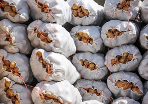 پرداخت 5 میلیارد تومان مشوق صادراتی سیب‌زمینی در اردبیل