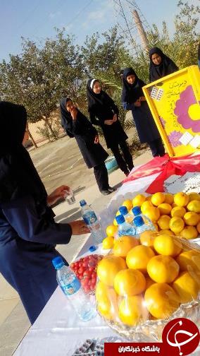 برگزاری طرح نمادین مکمل یاری دانش آموزان در بیرجند+تصاویر