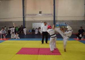 مسابقات کاراته جام میراث فرهنگی استان