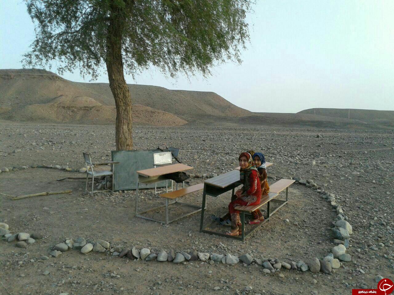 زمستان ۱۳۴۳، میدان تجریش/مجسمه گربه 