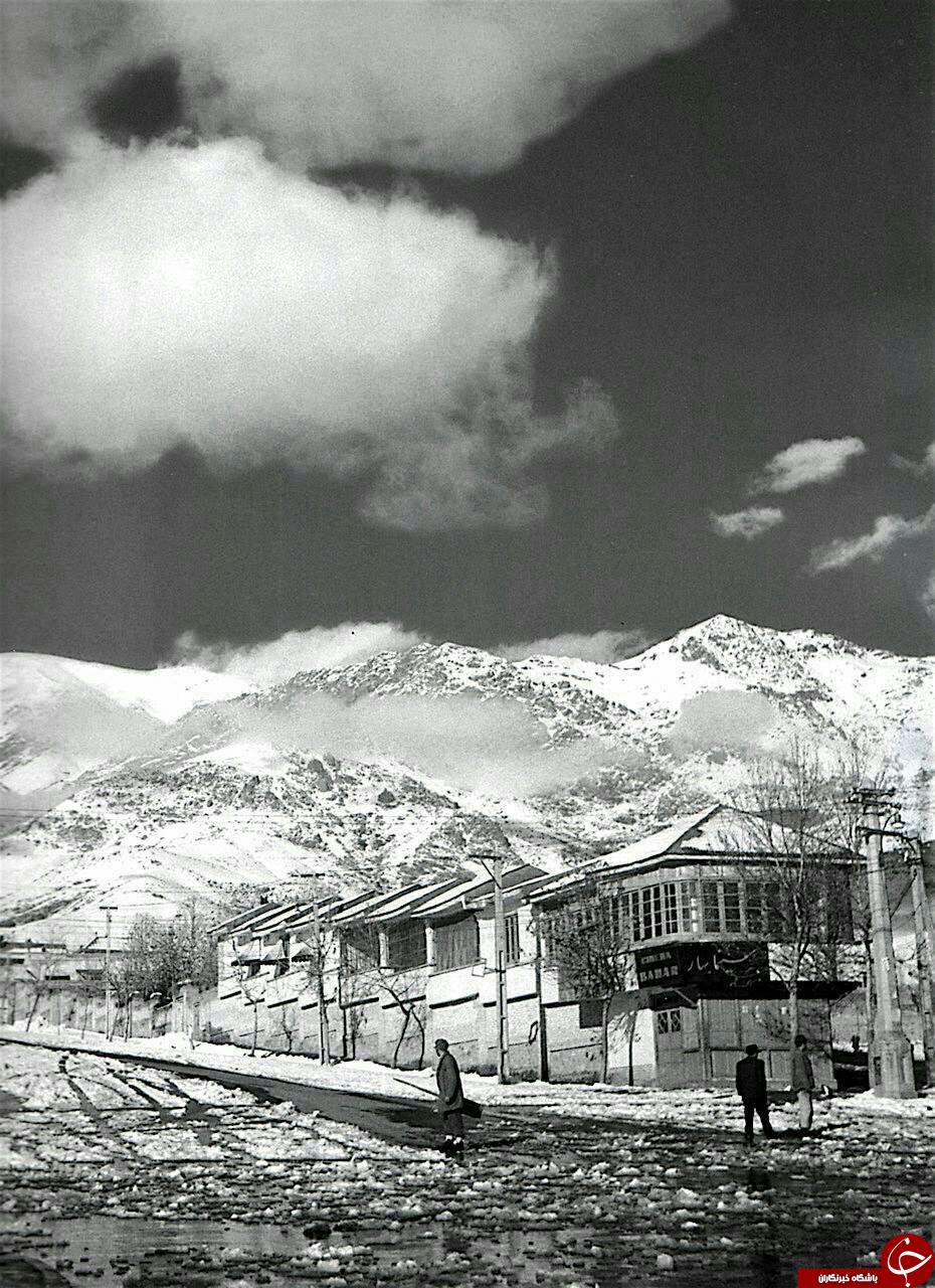 زمستان ۱۳۴۳، میدان تجریش/مجسمه گربه 