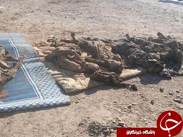 کشف گور دسته جمعی داعش در جرابلس+عکس