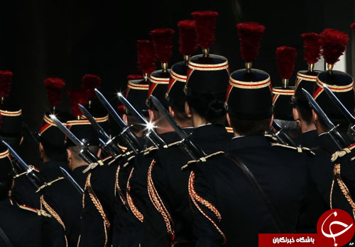 از کلاغ زاغی سبز رنگ تا نجات یک پناهجو در آخرین لحظه