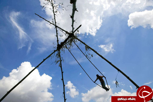 از کلاغ زاغی سبز رنگ تا نجات یک پناهجو در آخرین لحظه