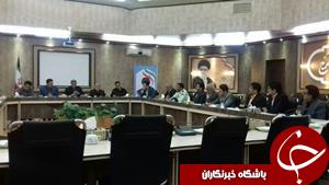 آرامش در بازار بیرجند برقرار است