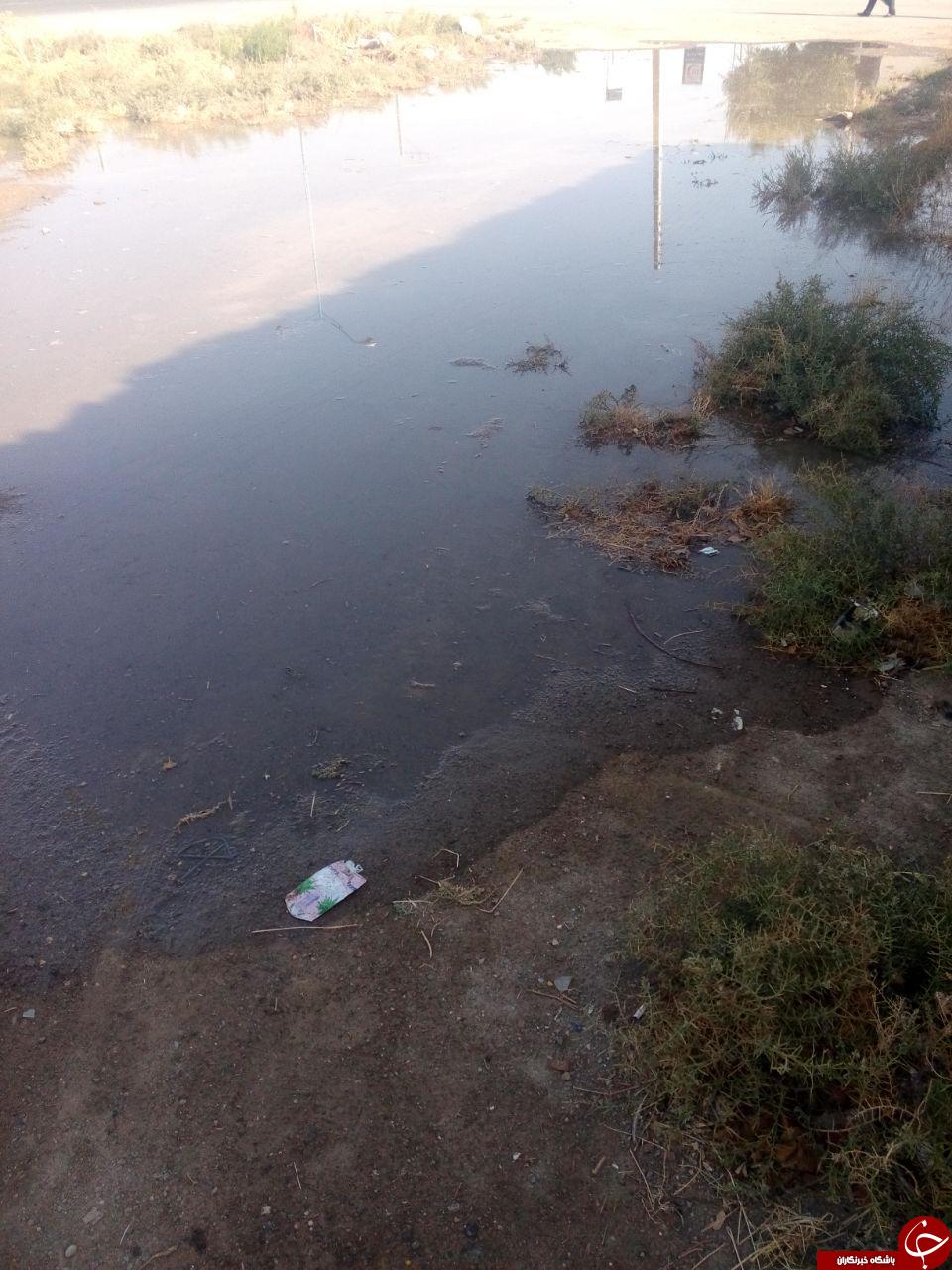 ترکیدگی لوله های آب روستای سعید آباد + فیلم