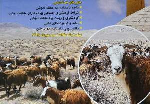 بز ندوشن در چند قدمی ثبت جهانی