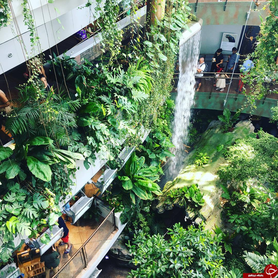 سفر به The Green Planet
