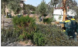 پاکسازی آرامستان گرگان