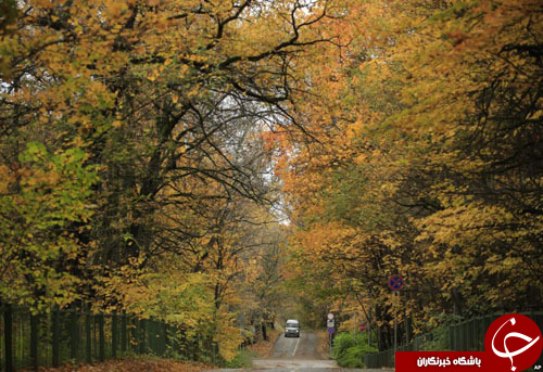 از حضور مایک تایسون در پارلمان رومانی تا ساخت دیوار مرزی ترامپ