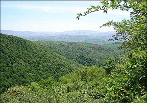 ایجاد طرح اقتصادی سمنان و مازندران باپیوست گردشگری