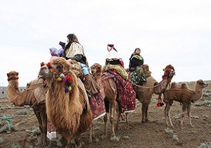 آغاز کوچ پائیزه عشایر استان اردبیل
