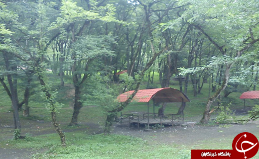 طبیعتی رنگارنگ در جاده فیروزکوه