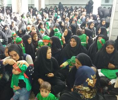 همایش شیر خوارگان حسینی در استان ها+ تصاویر