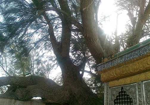 تخریب 