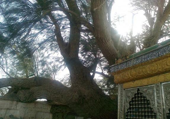 تخریب 