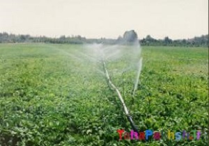 اجرای آبیاری نوین در 4 هزار هکتار از اراضی اردبیل