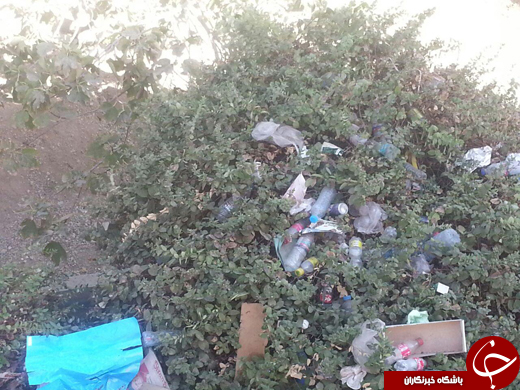 زباله&zwnj;های پنهان شده در میان درختان + تصاویر