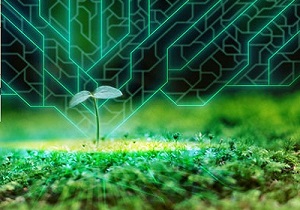 تولید داروی تست تشخیص دیابت با حمایت ستاد فناوری نانو