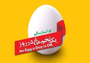 شکل‌گیری کمپین "هر مرغدار یک مدرسه" / توزیع ساندویچ تخم‌مرغ در بیش از 100 مدرسه محروم کشور