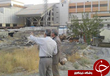 باشگاه خبرنگاران -درختان بلوار اصلی اکباتان قطع شده اند