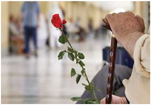 بیش از ۴۰ درصد از مددجویان سالمند هستند
