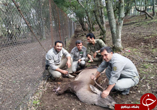 نگاهی گذرا به مهمترین رویدادهای 18 مهر در مازندران