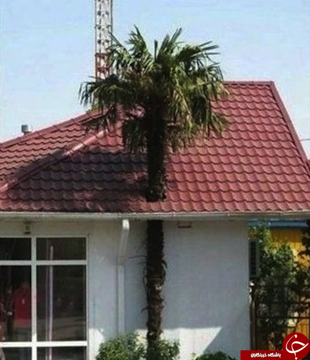 خنده دارترین گاف های معماری+14 عکس