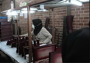 حضور فعال زنان در بخش خدماتی اقتصاد ایران