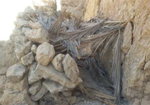 متخلف کومه ساز در چنگال قانون