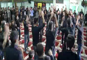 عشق و ارادت جوانان اهل سنت به امام حسین(ع) + فیلم