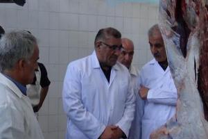 طرح بازرسی گوشت دامهای قربانی در تاسوعا و عاشورای حسینی