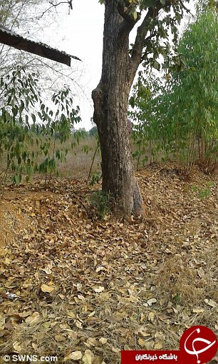 نوزاد هفت ماهه ای که پس از ضربات چاقو و زنده به گور شدن زنده ماند + تصاویر