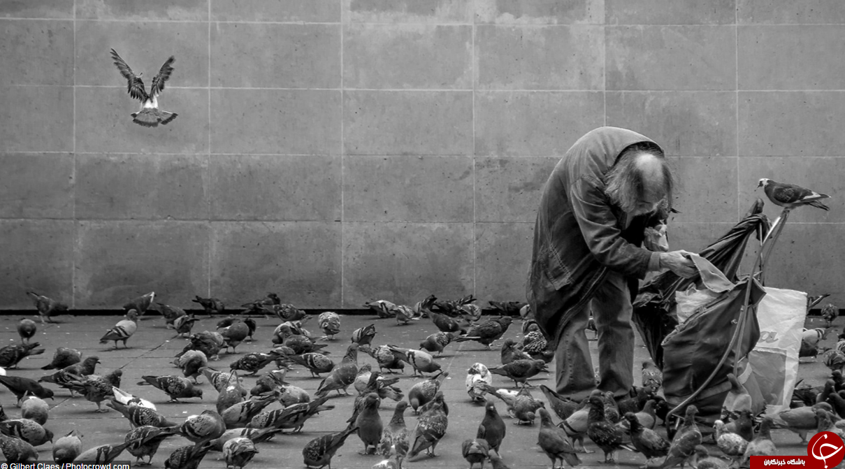 دردناک ترین مسابقه دنیا