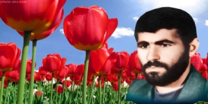 نکا میزبان عاشورایی یک شهید