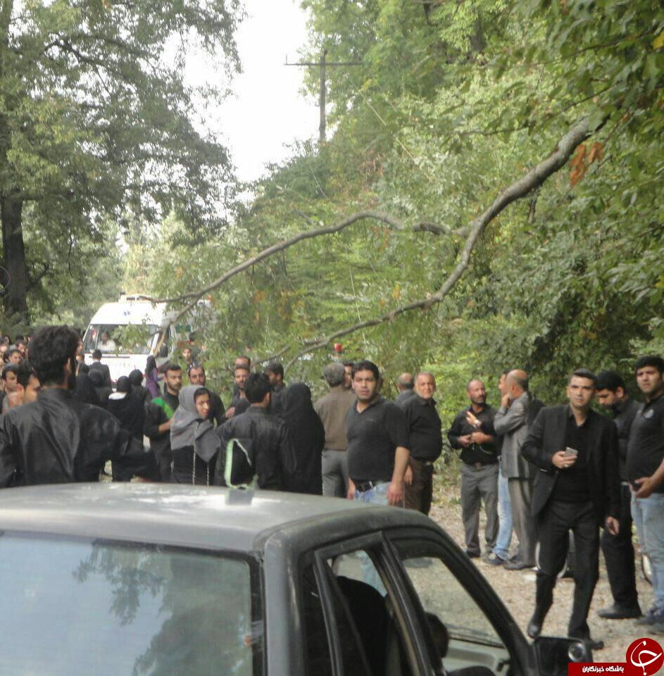 سقوط درخت روی عزاداران با یک کشته و 14 زخمی+ تصویر