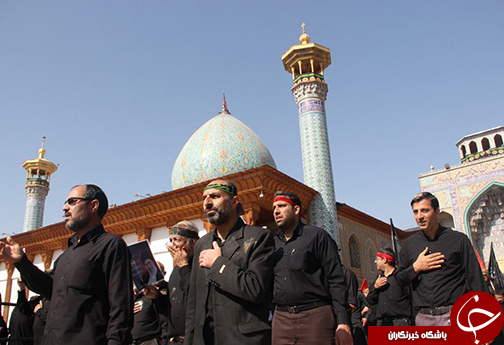 جلوه های دلدادگی در حرم مطهر شاهچراغ  (ع)+ تصاویر