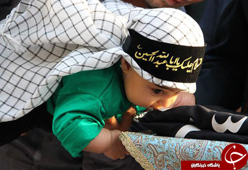 جلوه های دلدادگی در حرم مطهر شاهچراغ  (ع)+ تصاویر