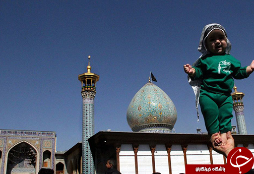 جلوه های دلدادگی در حرم مطهر شاهچراغ  (ع)+ تصاویر