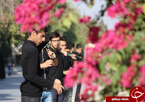 فارس یکپارچه سیاهپوش در عزای حسین + تصاویر