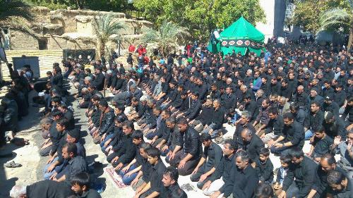اقامه نماز ظهر عاشورا در استان به روایت تصویر