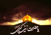 باشگاه خبرنگاران -کتاب‌هایی که از شخصیت حضرت زینب (س) می‌گوید