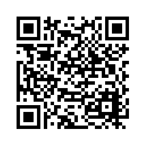 Google Plus