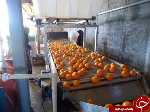نگاهی گذرا به مهمترین رویدادهای 22 مهر در مازندران