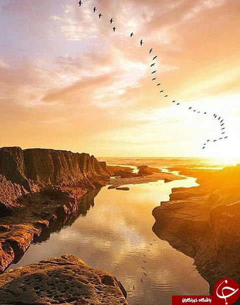 ثبت لحظه های ناب در اینستاگرام نشنال جئوگرافی + تصاویر